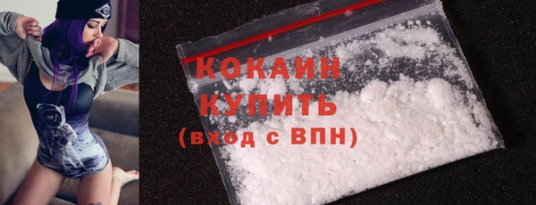 apvp Кукмор
