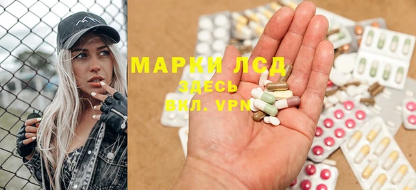 стаф Кулебаки